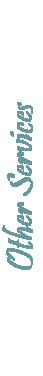 Other Services