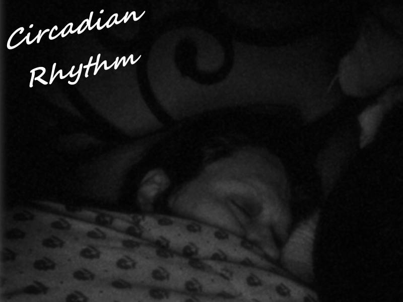 Circadian Rhythm