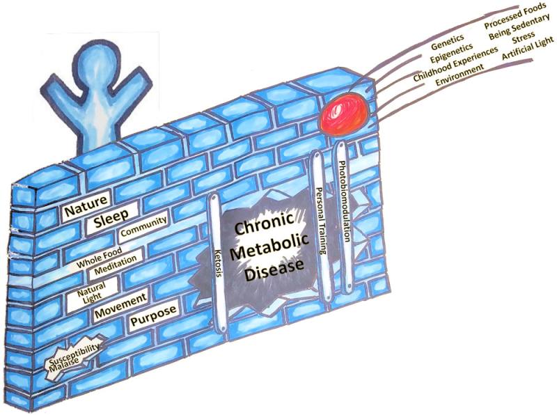 Food as Defense Model